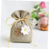 BIUDECO Sachet Pendants for Car 9pcs Hanging Empty Sachets Easy