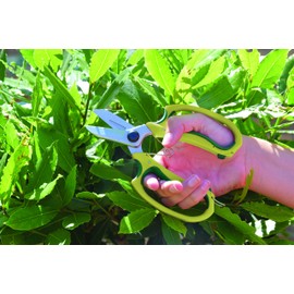 Spear & Jackson 4252KEW Soft-Feel Garden Scissors - Green