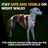 Huntboo Escape Proof Dog Harness – No Pull, No Slip,