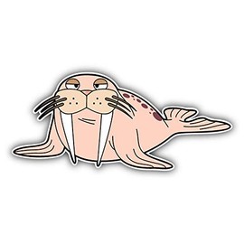 JJH Inc Magnet Funny Walrus Cartoon Flexible Vinyl Magnet Waterproof Car Magnetic Bumper Sticker 5"