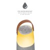 ION Audio Bright Max Plus Indoor/Outdoor 360 Degree Bluetooth Wireless