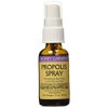 Honey Gardens Propolis Spray,1 Fl Oz (Pack of 2)