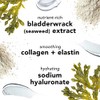 Seaweed Night Cream by Mario Badescu for Women - 1