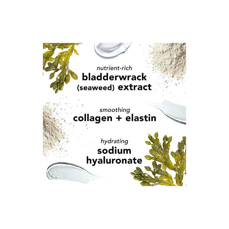 Seaweed Night Cream by Mario Badescu for Women - 1