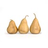 Dried Martin Gourds (3-Pack) - 5" in Diameter, Ready for