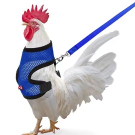 Arbootjin Chicken Harness (Medium, Blue) with Leash, Breathable, Adjustable, Comfortable for Chickens, Ducks, Geese, and Small Pets