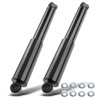 A-Premium Pair 2 Front Strut Shock Absorber Compatible with Peterbilt,