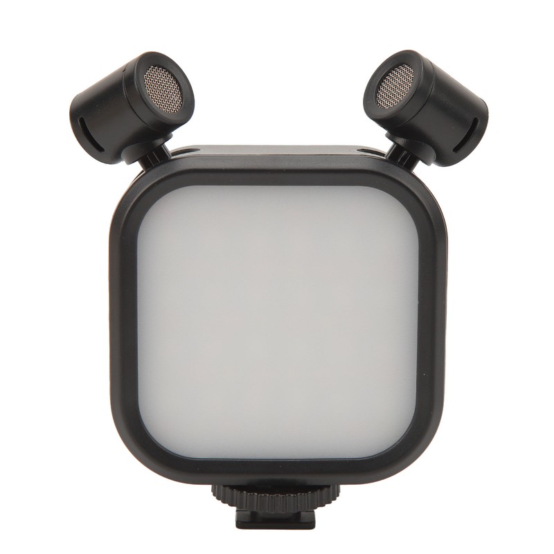 Stereo Microphone Light 10 Levels Brightness Dual Mic Fill Lamp