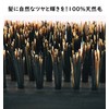 Kinugawa Company 1747A Hair Brush, Natural Bristle, Boar Bristle Brush,