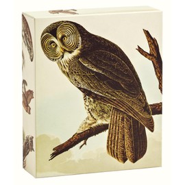 teNeues - QuickNotes: Audubon Owls, Notecards, 20 Full Color Notecards, 20 Classic White Envelopes, 4 Designs, 5 Cards each Design, Keepsake Box, ... 20 Notecards in a box with Magnetic Closure
