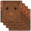 Dumbo Rat Pet Mouse Rodent Low Profile Cork Coaster Set