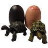 Turtle figure 2 Body 1 Pairs hosigame・arudaburazougame Buildable in Egg