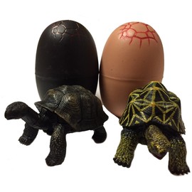 Turtle figure 2 Body 1 Pairs hosigame・arudaburazougame Buildable in Egg Case