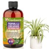 Premium Liquid Spider Plant Fertilizer - 3-1-2 Concentrate for Indoor