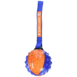 SPOT Ethical Pets Push to Mute Dog Toy, Ball with Strap