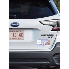 Funny Bumper Stickers For Cars Trucks Window Decal Gen-z Meme Kitten Jack Black