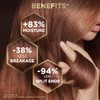 Garnier Whole Blends Repairing Shampoo Honey Treasures, 12.5 Fluid Ounce