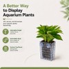 4 Pack - Aquarium Plant Holder, Adjustable Clear Aquaponic Planter
