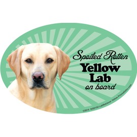 Lab Retriever (Yellow) Car Magnets: Spoiled Rotten Lab Retriever (Yellow) - Oval 6" x 4" Auto/ Truck/ Refrigerator/ Mailbox (Funny Car Decals, Dog Magnet, Lab Retriever (Yellow)