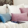 MIULEE Set of 2 Velvet Cushion Covers, 30 x 50