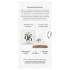 96° Fennel Tea - 20 Pyramid Tea Bags, Individually Wrapped,
