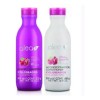 Salerm Alea Shampoo + Acondicionador Cabellos Teñidos