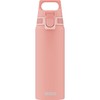 SIGG Stainless Steel Drinking Bottle, Shield ONE, Suitable for Carbonated