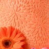 Colour Mill Colour Mill Oil-Based Food Coloring, 100 Milliliters (Orange)