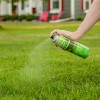 Seymour 20-602 Grass and Shrub Renew Paint, Pristine Green, 2/Pack