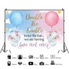 Twin Baby Shower Backdrops Double The Trouble Twice The Fun