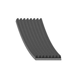 febi bilstein 29061 V-Ribbed Belt, Number of Ribs 8, Pack of 1