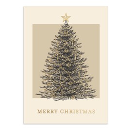 Punch Studio Christmas Tree Boxed Holiday Cards Set of 12 (50573)
