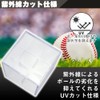 Rakuchin Life Net, Sign Ball Case, Display, Exhibition, Baseball, Commemorative