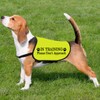 In Training Please Don't Approach/Ask Before Petting Me Dog Jacket