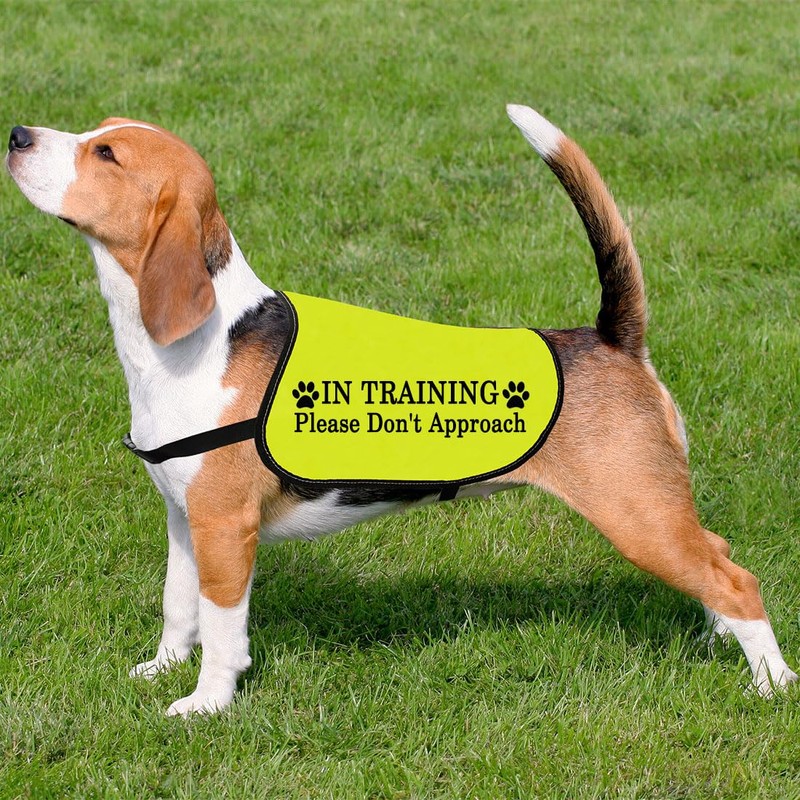 In Training Please Don't Approach/Ask Before Petting Me Dog Jacket