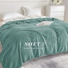 Homebliss Cuddly Blanket, 130 x 150 cm, Fluffy Fleece Blanket,