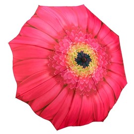 Galleria-Pink Daisy Auto-Open/Close Large Portable Rain Folding Umbrella