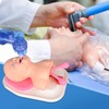 Ultrassist Neonatal Intubation Trainer, Pediatric Intubation Manikin, Infant Airway Management