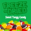 Freeze Dried Sweet Tarts-Style Candy, Crazy Candy Tangy Tarts -
