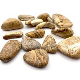 Picture Jasper Large Crystal Tumbled Stone, Palmstone Shape. 30-36mm in Length. 1 Pc.