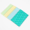 Evergreen Goods Lined Sticky Notes| Large Pastel Notes for Study,