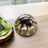 Real Spider Specimens in Resin Paperweight Crafts, Animal Taxidermy Collection