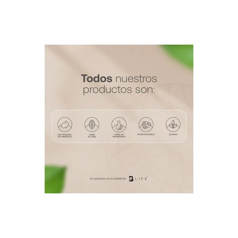 Kit Crema Dia Y Noche Para Rostro. B Life
