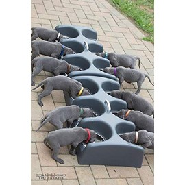 Weanafeeda Mini 6 Litter Multiple Dog Bowl Feeder (Small/Medium Breeds)