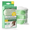 Spongeables Pedi Scrub Foot Buffer 20+, Citron Eucalyptus Aromatherapy, 2-Ounce