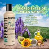 Shampoo Vegan Nefertiti Sin Sal Y Sin Sulfatos Con Keratina