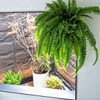 Juecao Large Artificial Boston Fern 68" Fake Ferns Silk Artificial
