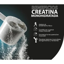 X Gear Creatina Monohidratada En Polvo Para Gimnasio y Deporte, Suplemento De Creatina 5 g Por Scoop Para Atletas, Fitness y Rutinas De Alto Desempeo 