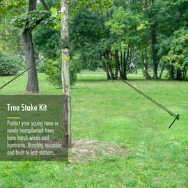 Tree Stakes and Supports, Fetanten Tree Stake Kit with Tree Straps and Rope in Outdoor Yard, 3 PCS 11.8 Inch Heavy Duty Steel Tree Stabilizer Ground Anchor Protect Leaning Tree Straightening