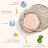 Base Maquillaje Líquida Cobertura Media Acabado Impecable Spf Larga Duración